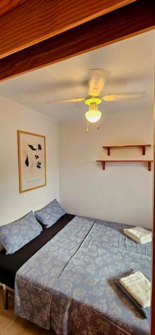 Casa Rudi - Urbanizacion La Marina Villa San Fulgencio Dış mekan fotoğraf